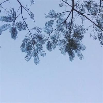 模型世界内购破解版下载